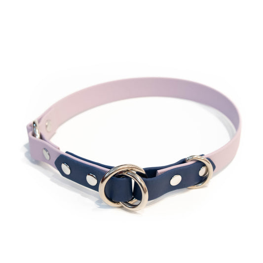 3/4" limited slip biothane collar