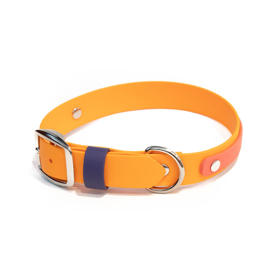 orange and coral 1" layered biothane collar