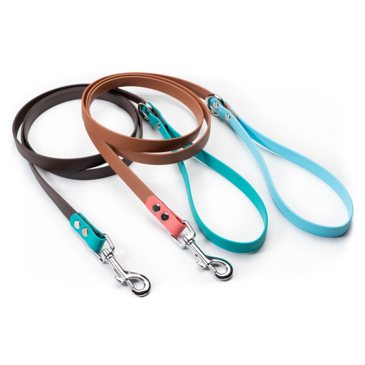 classic biothane leash