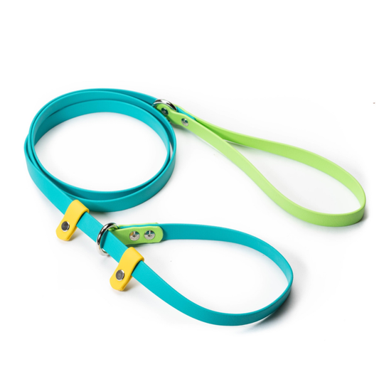 biothane slip leash