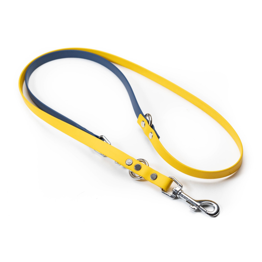 convertible biothane leash | guide style